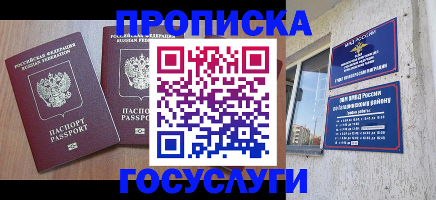 найти адрес прописки в Елизово